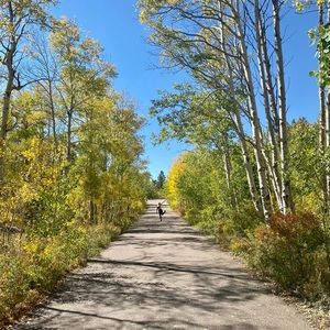 Meet your Posher, Caitlin